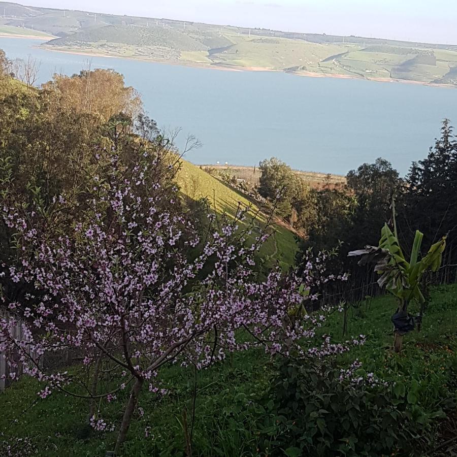 Ferme écologique lac du barrage med ben abdelah Oulad Yakoub Exterior foto
