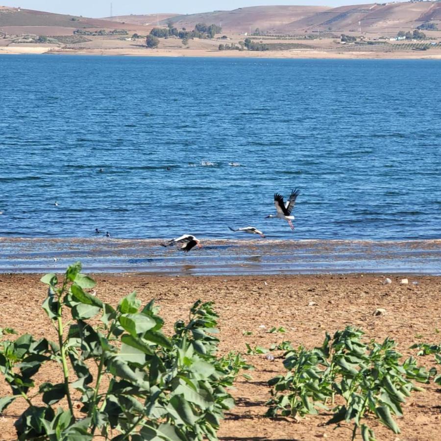 Ferme écologique lac du barrage med ben abdelah Oulad Yakoub Exterior foto