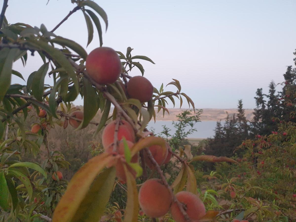 Ferme écologique lac du barrage med ben abdelah Oulad Yakoub Exterior foto