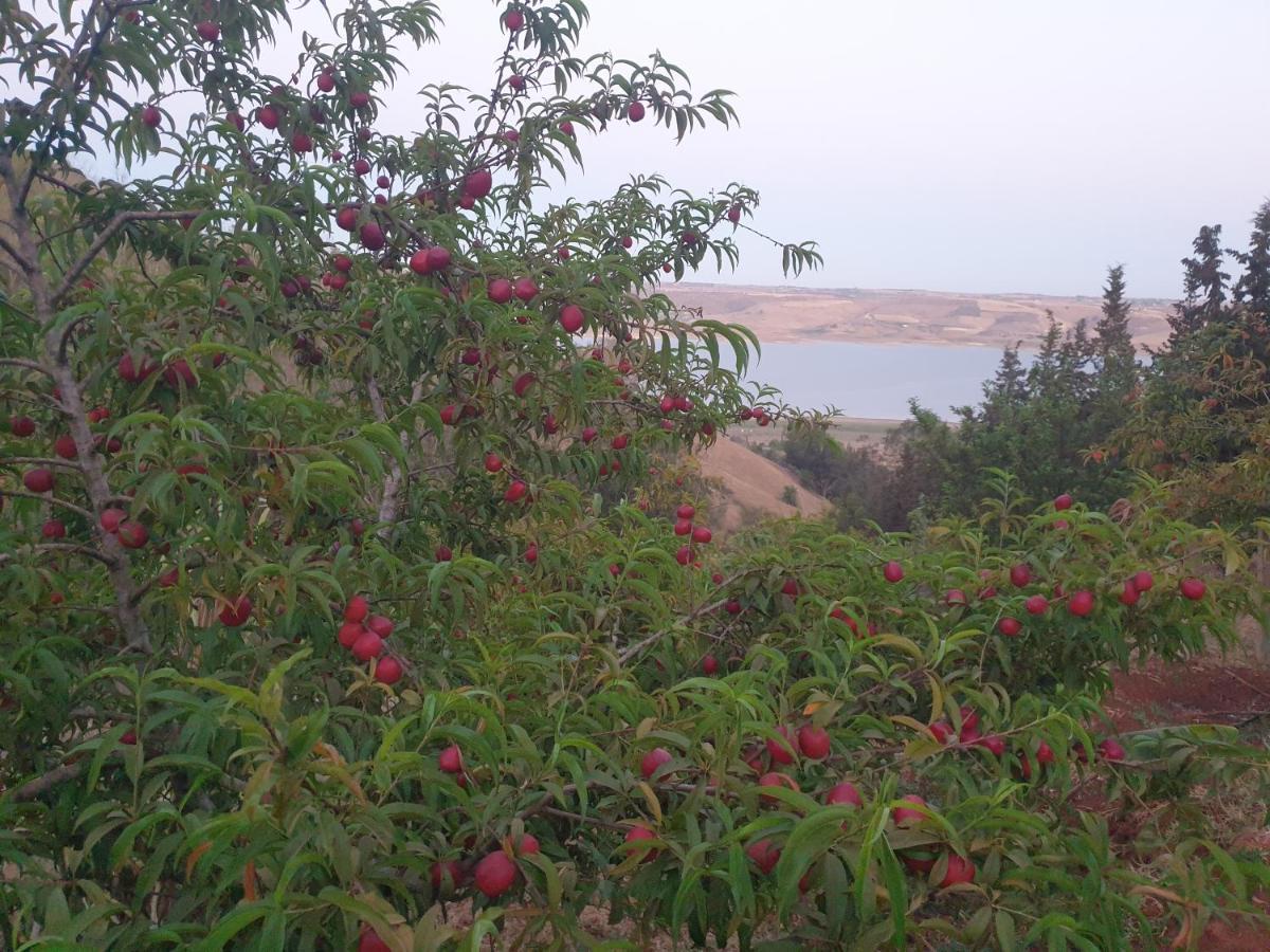 Ferme écologique lac du barrage med ben abdelah Oulad Yakoub Exterior foto