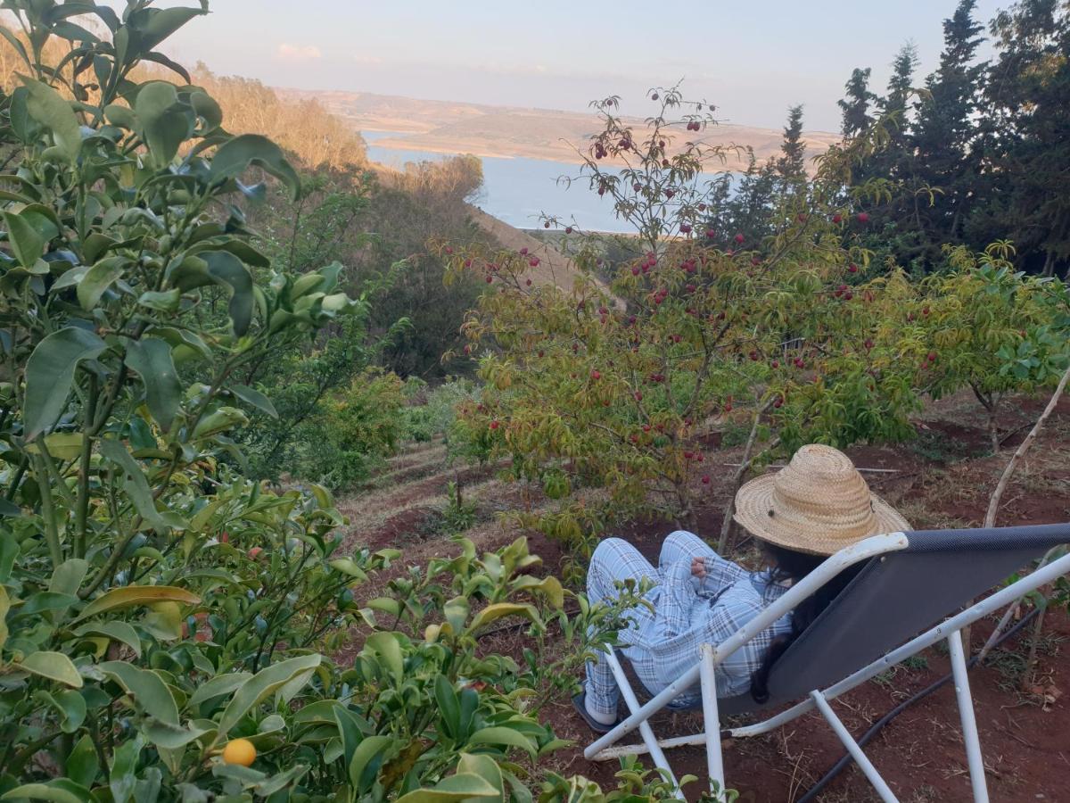 Ferme écologique lac du barrage med ben abdelah Oulad Yakoub Exterior foto