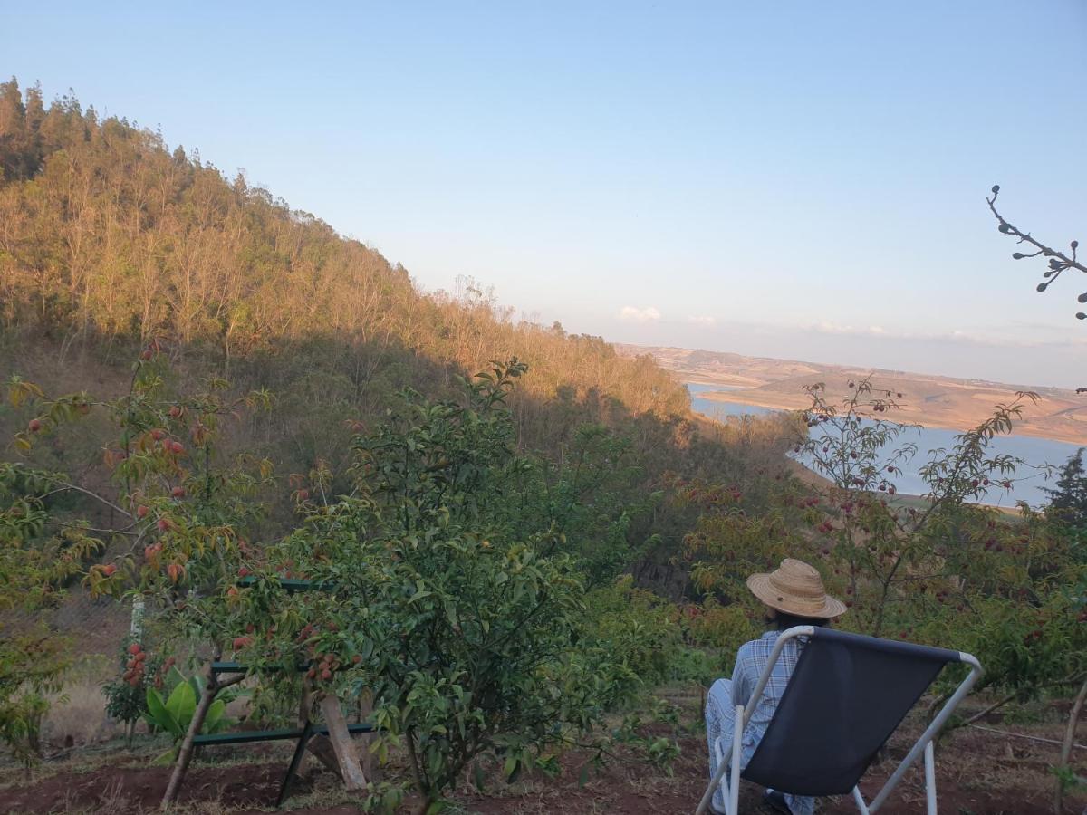 Ferme écologique lac du barrage med ben abdelah Oulad Yakoub Exterior foto